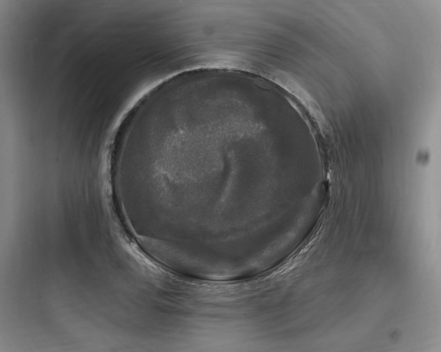 X0000097991120200803241335