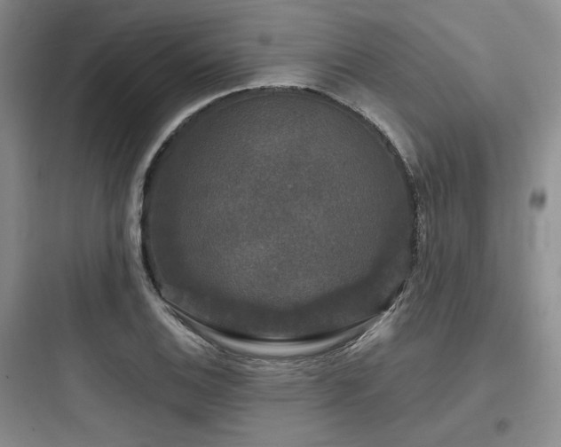 X0000097991124200803241335