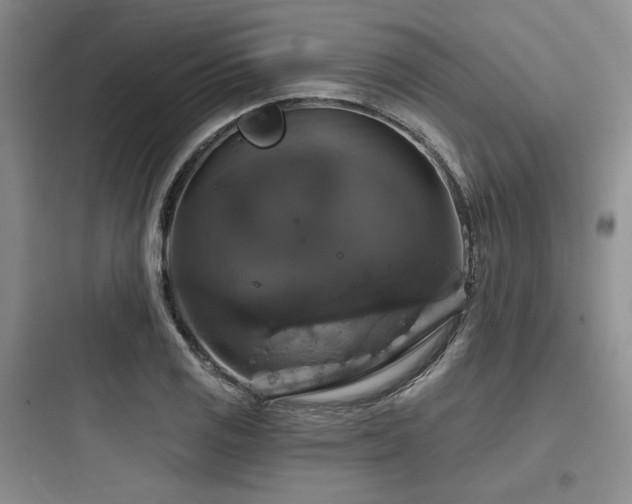 X0000097991125200803241335