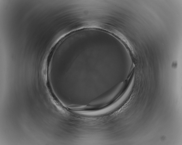 X0000097991127200803241335
