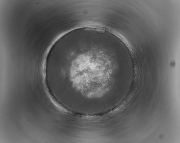 X0000097991128200803241335