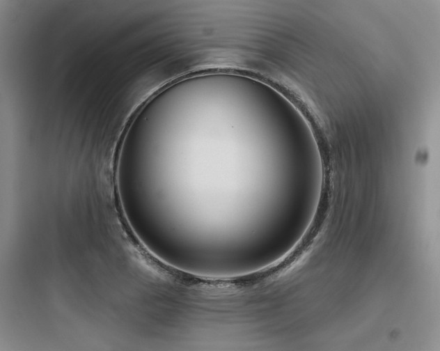 X0000097991129200803241335