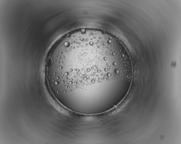 X0000097991130200803241335