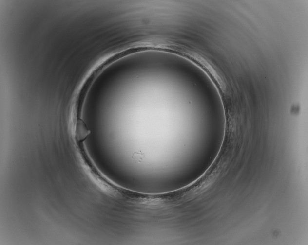 X0000097991131200803241335