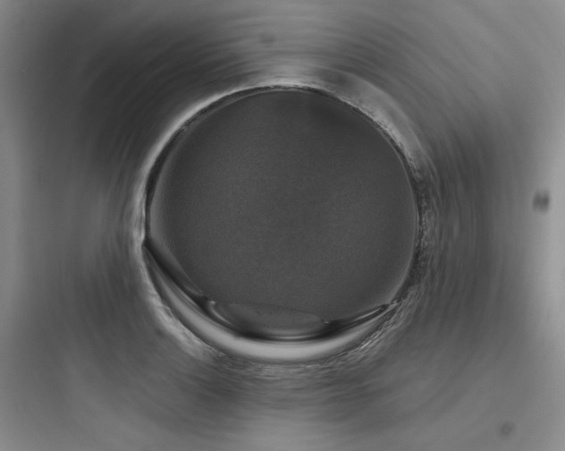 X0000097991132200803241335