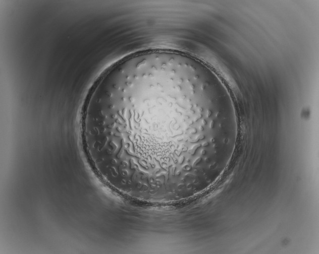 X0000097991133200803241335