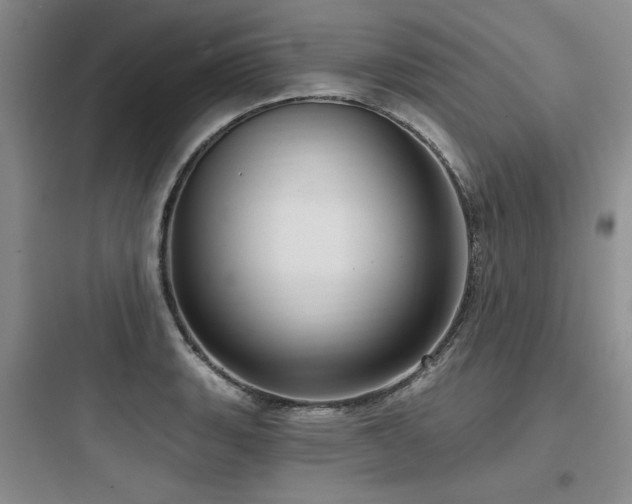 X0000097991135200803241335