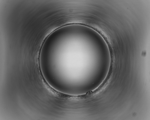 X0000097991137200803241335