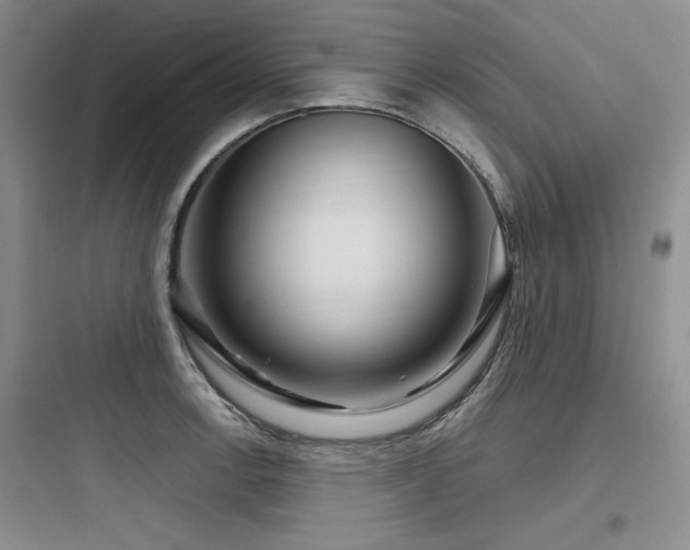 X0000097991138200803241335