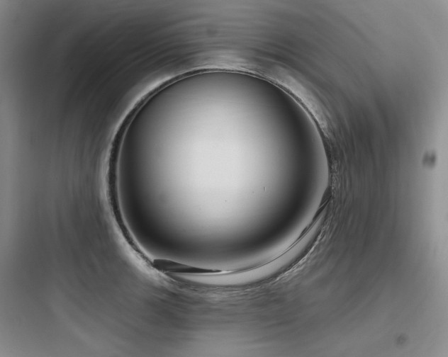 X0000097991139200803241335