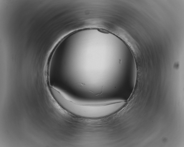 X0000097991140200803241335