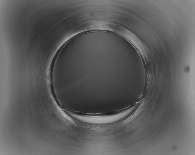 X0000097991141200803241335