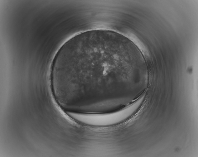 X0000097991142200803241336