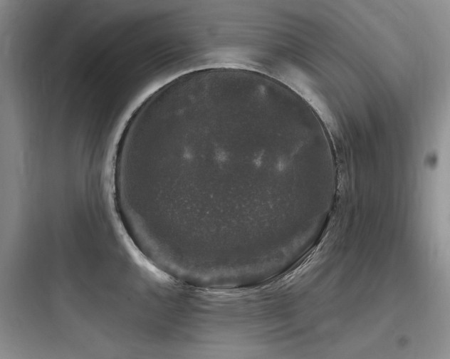 X0000097991144200803241336