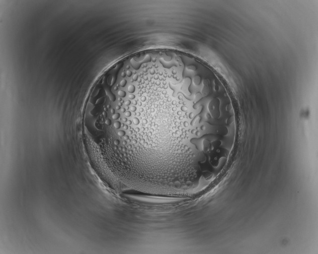 X0000097991145200803241336