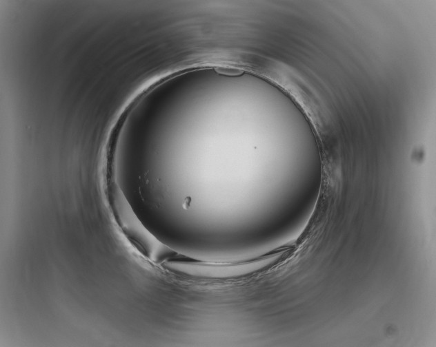 X0000097991147200803241336