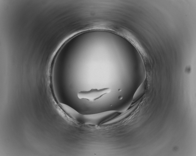 X0000097991148200803241336