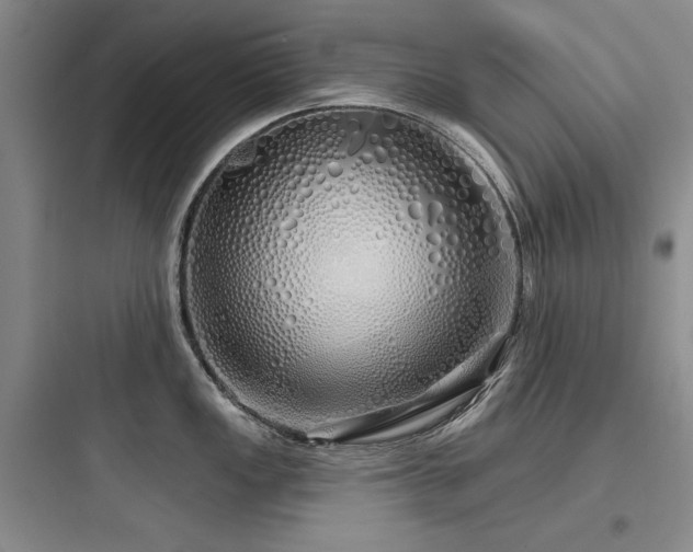 X0000097991149200803241336