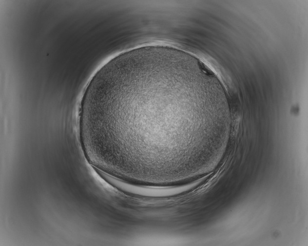 X0000097991151200803241336