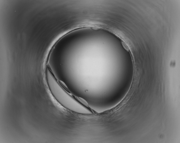 X0000097991152200803241336