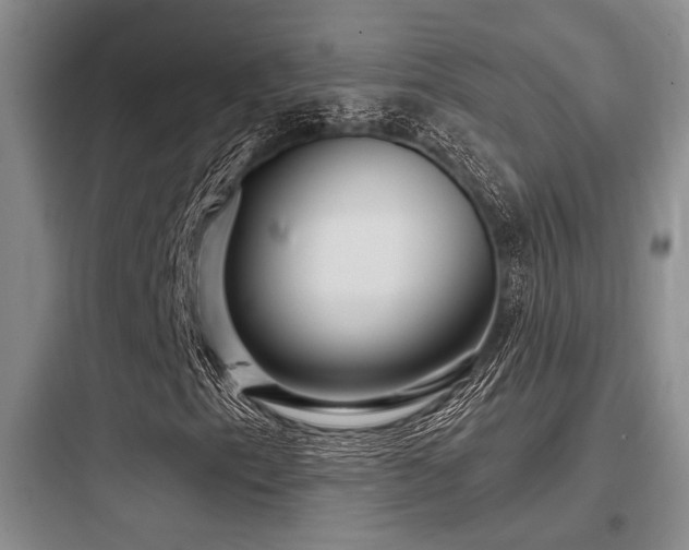 X0000097991153200803241335