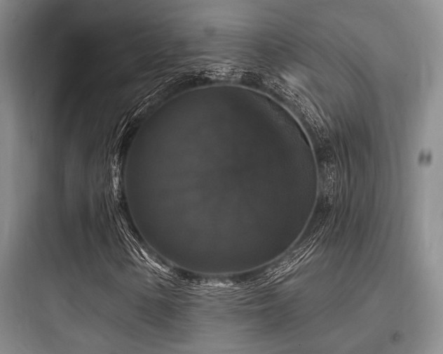 X0000097991154200803241335