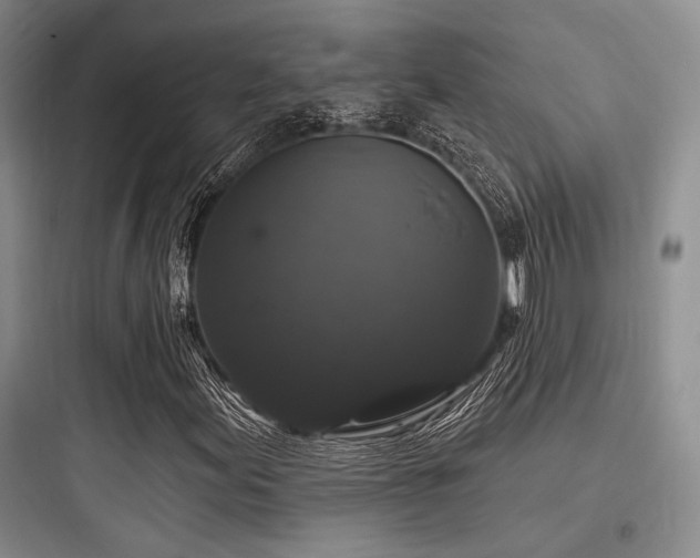 X0000097991155200803241335