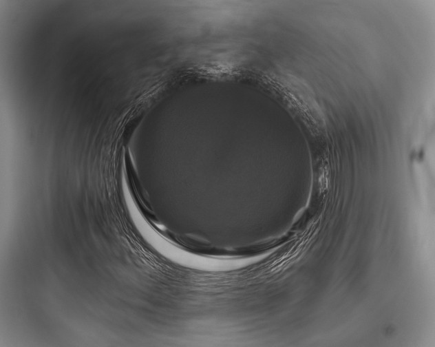 X0000097991156200803241335