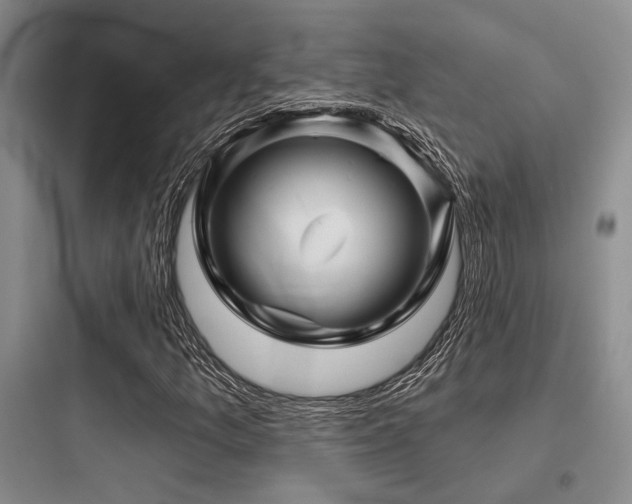 X0000097991157200803241335