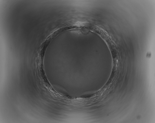 X0000097991158200803241335