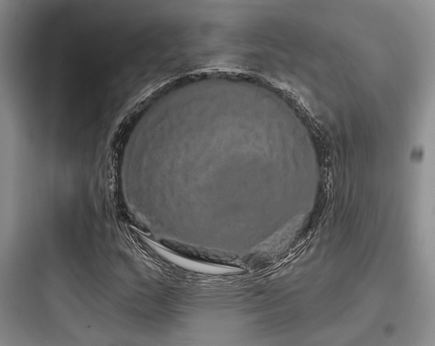 X0000097991159200803241335