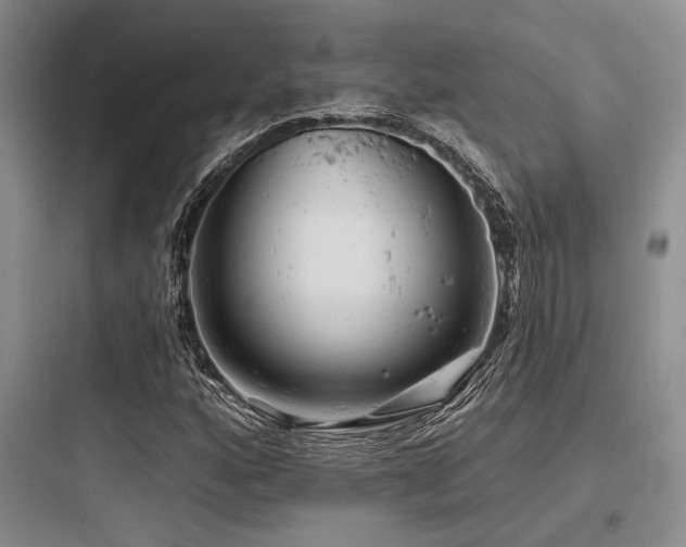 X0000097991160200803241335