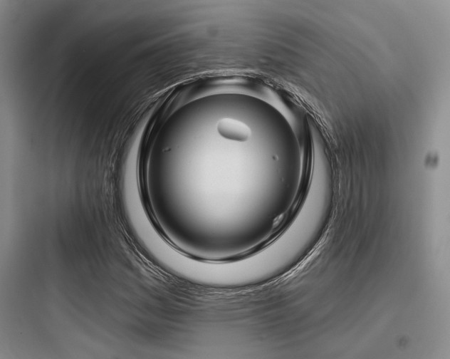 X0000097991161200803241335
