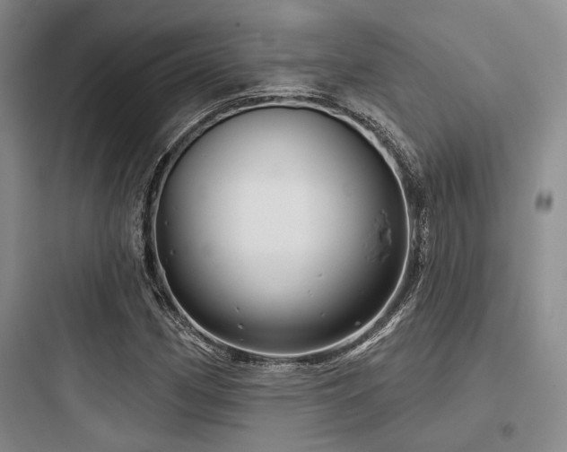 X0000097991162200803241335