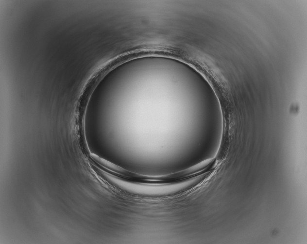 X0000097991164200803241335