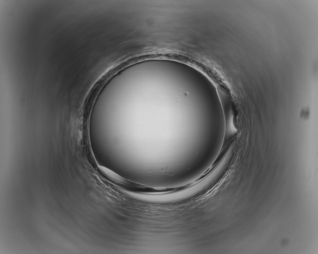 X0000097991165200803241335