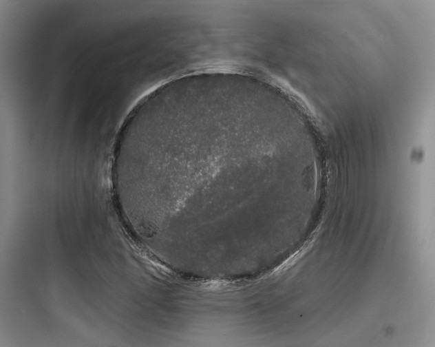 X0000097991166200803241335