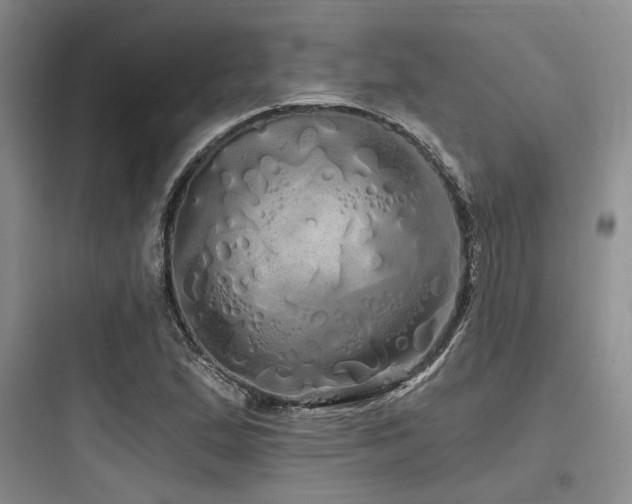 X0000097991167200803241335