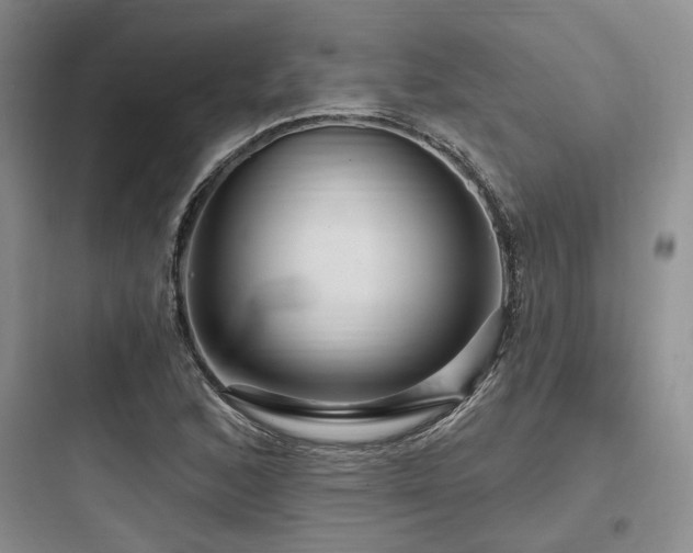 X0000097991168200803241335