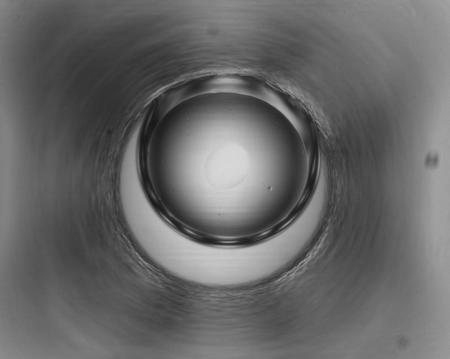 X0000097991169200803241335