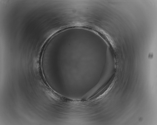 X0000097991170200803241335