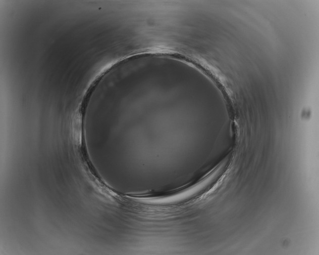 X0000097991171200803241335
