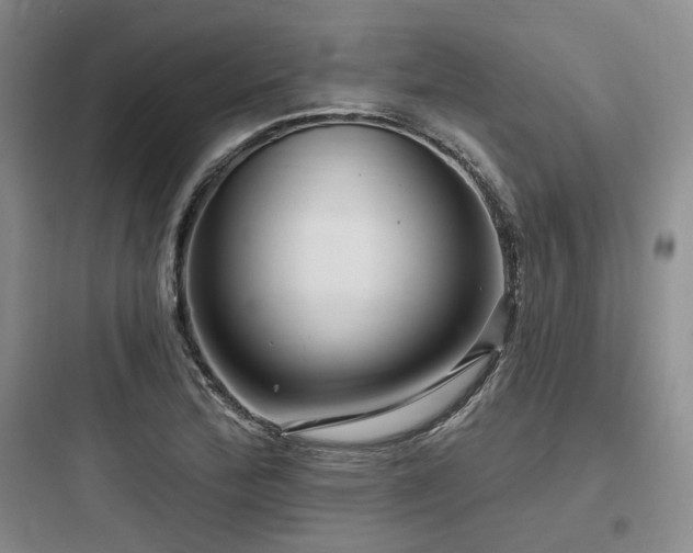 X0000097991172200803241335