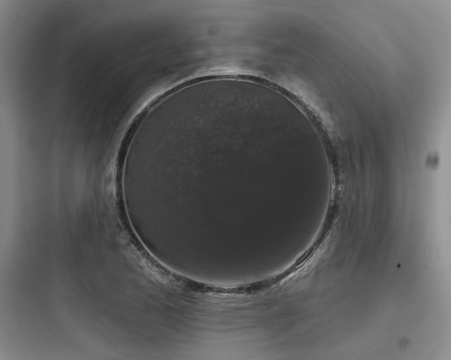 X0000097991173200803241335