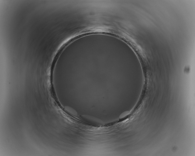 X0000097991174200803241335