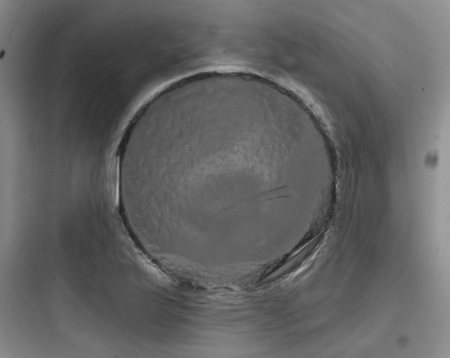 X0000097991175200803241335