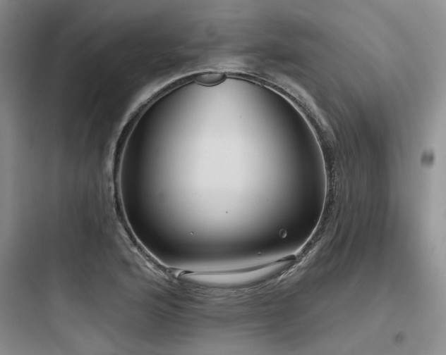 X0000097991176200803241335