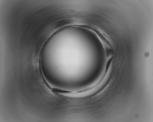 X0000097991177200803241335