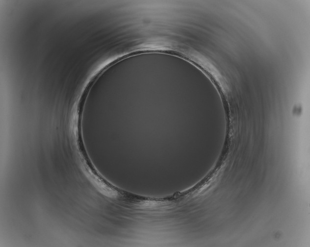 X0000097991179200803241335