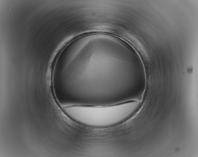 X0000097991180200803241335
